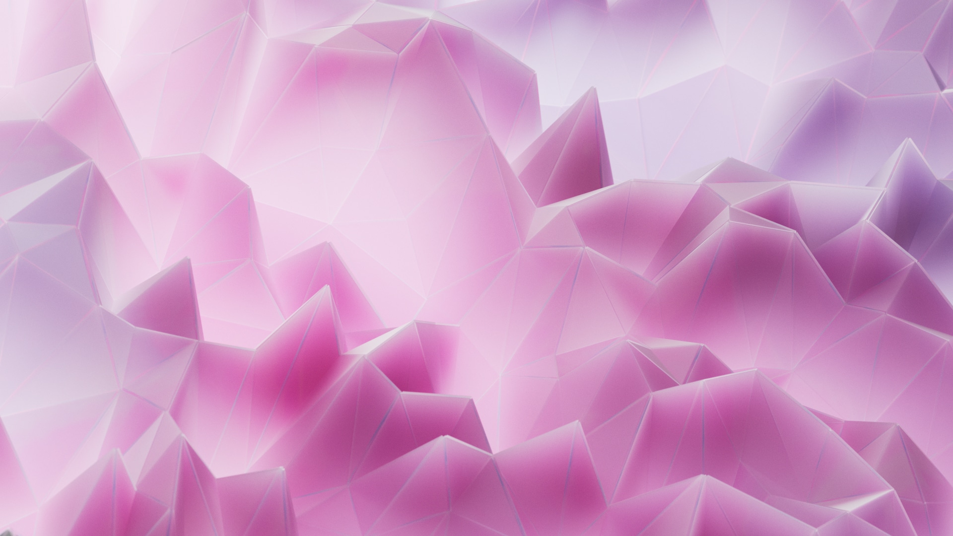 MR BLOOM_00003